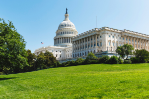 Photograph of Capitol Hill.