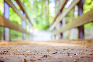 Photograph of a footbridge and pathway