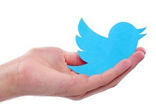 Cupped hand holding the blue twitter bird symbol.