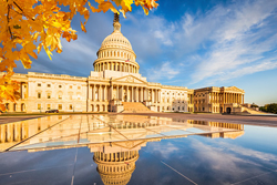 Photo of the U.S. Capitol building with Autumn leaves visible.