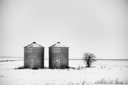 Black and white photo of two grain silos next to a desert brush of some kind. 