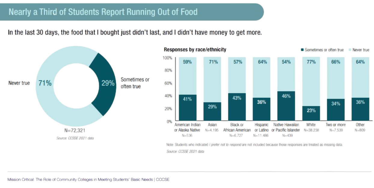 New Report Highlights the Efforts of Community Colleges to Meet Basic Student Needs